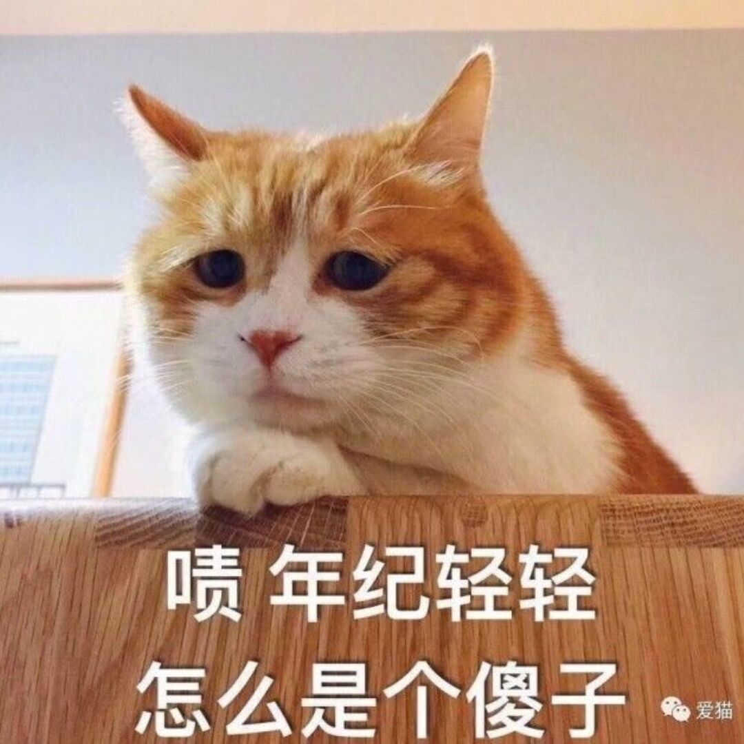 qq_Cold heart袭19
