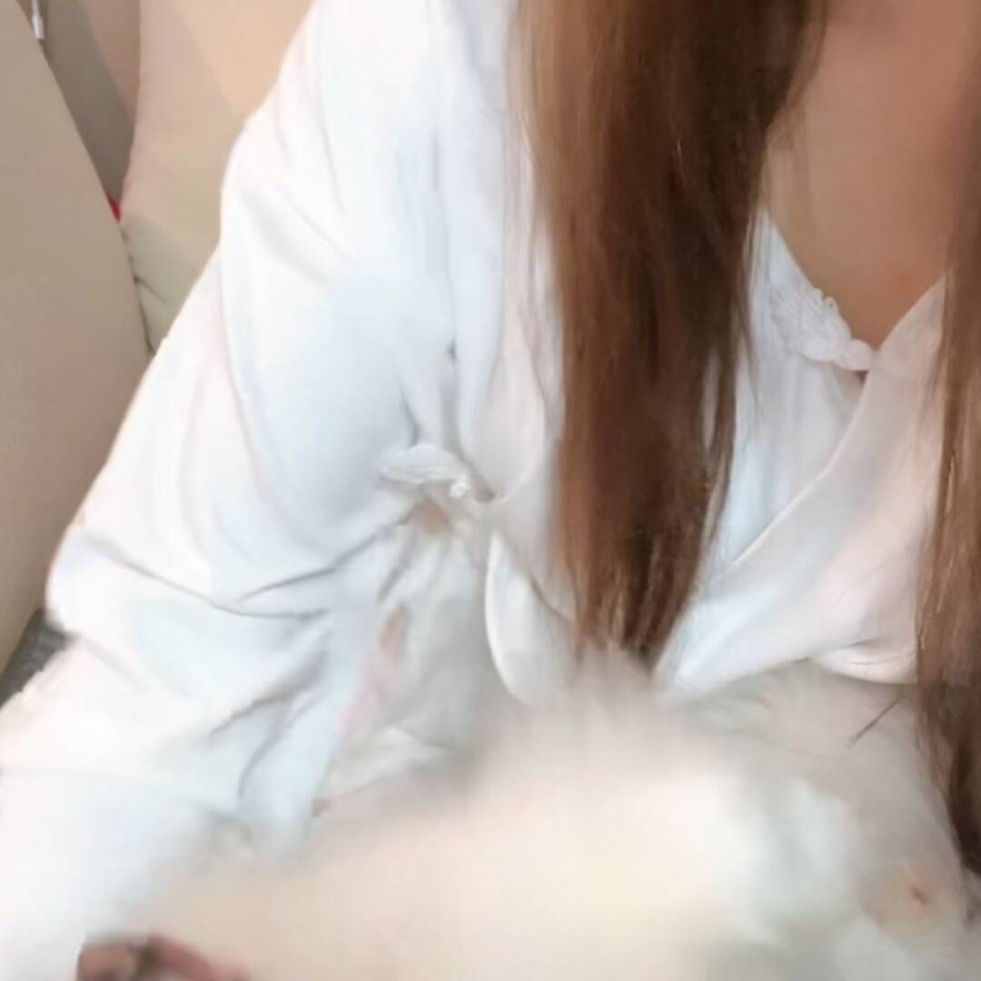 qq_慧氏集团67