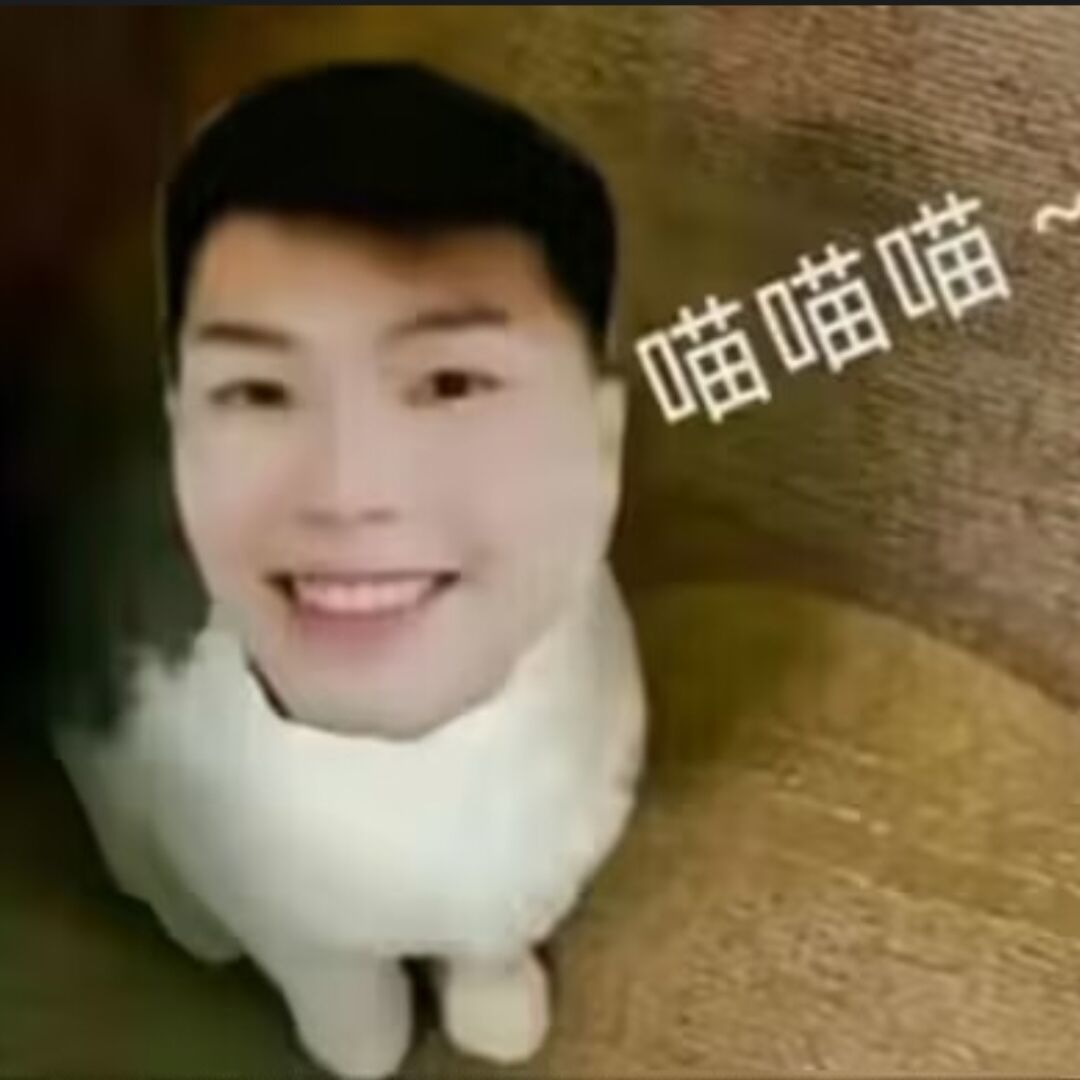 qq_小猫代言人54