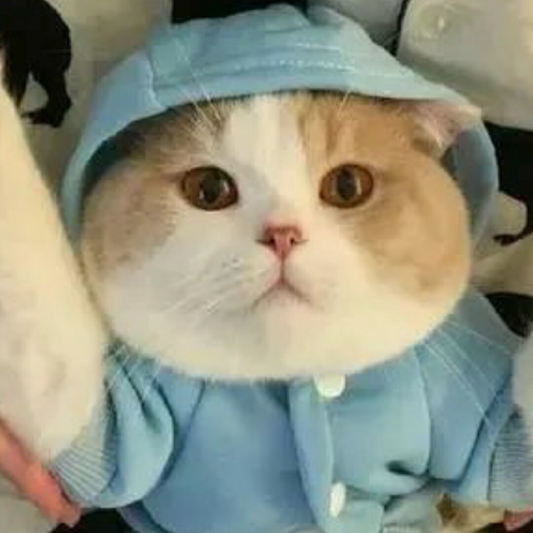 OnePiece