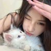 布丁姐姐-【TITAIKE】T太科网