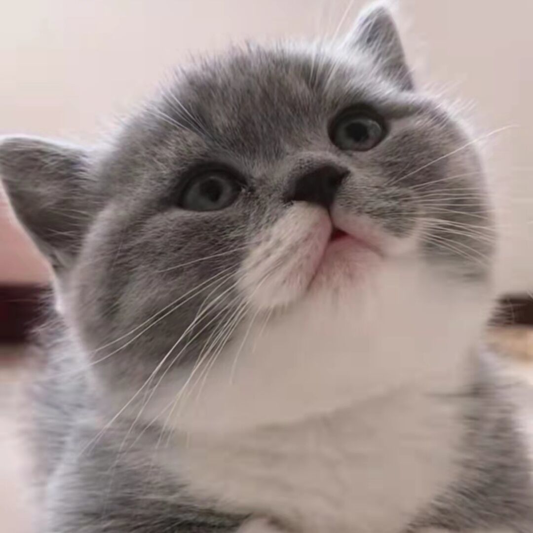 qq_李想很幸福85