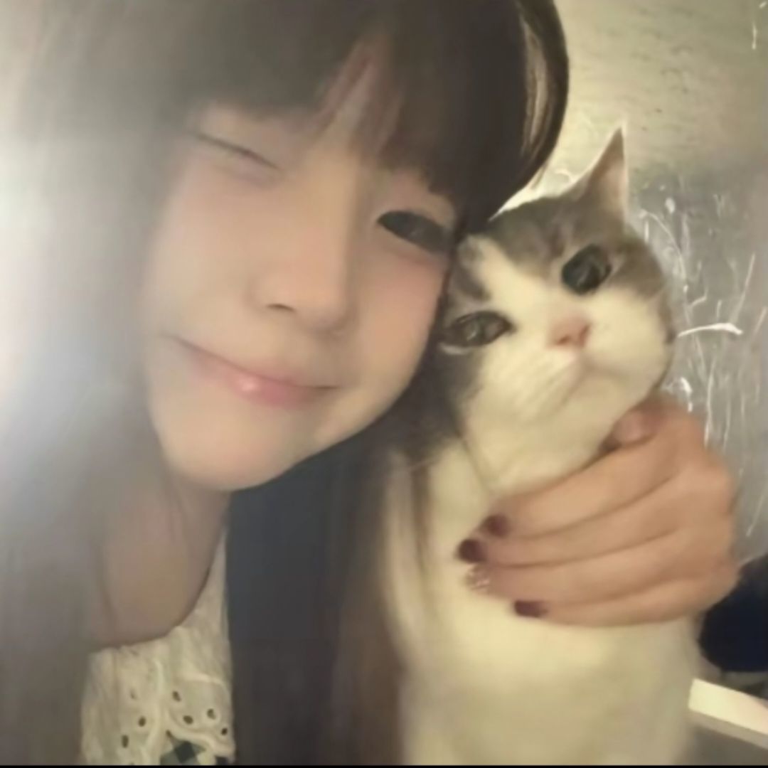 qq_v.513