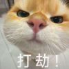 斩mie-【TITAIKE】T太科网