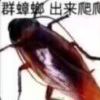 小蛋糕吃三花-【TITAIKE】T太科网