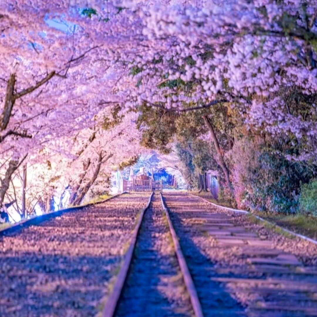 壹厘米