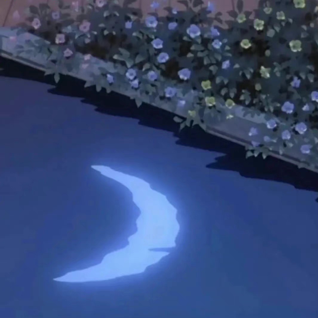 🌙