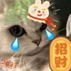 白1131331-【TITAIKE】T太科网