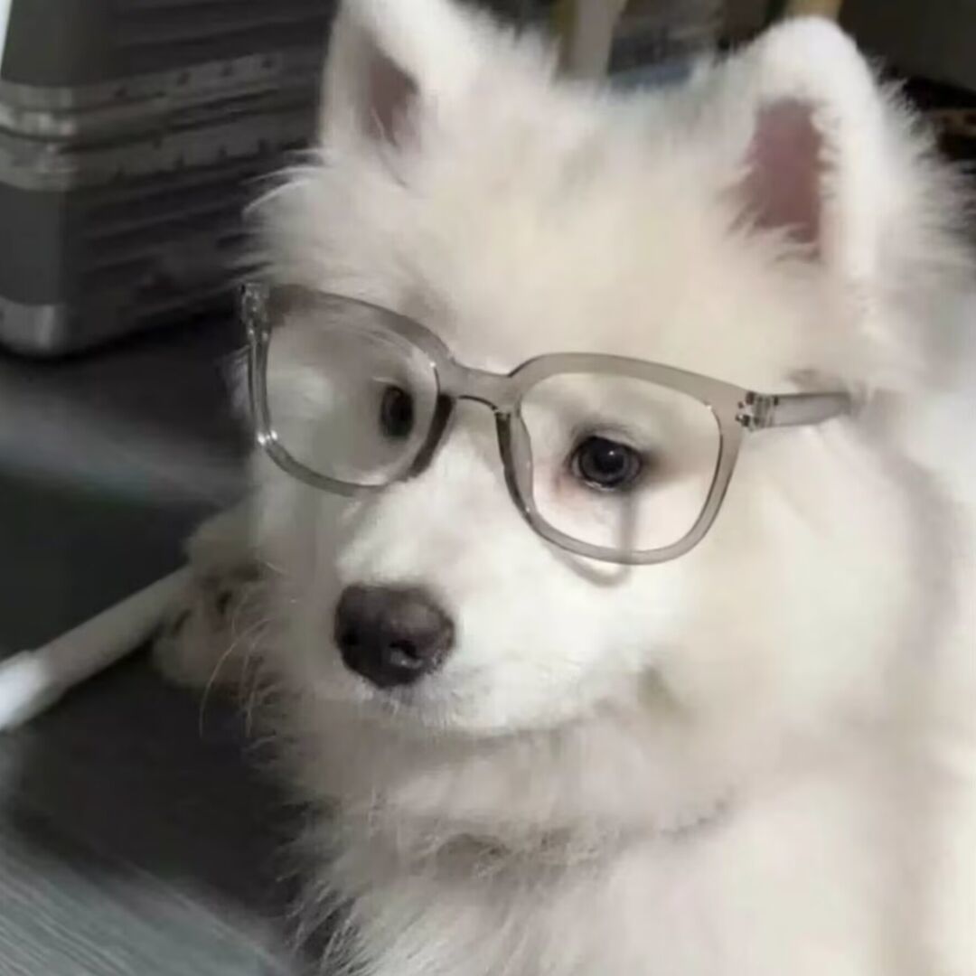 qq_屑海洋60