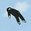 89C_wahaha-【TITAIKE】T太科网