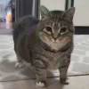 114514user-【TITAIKE】T太科网