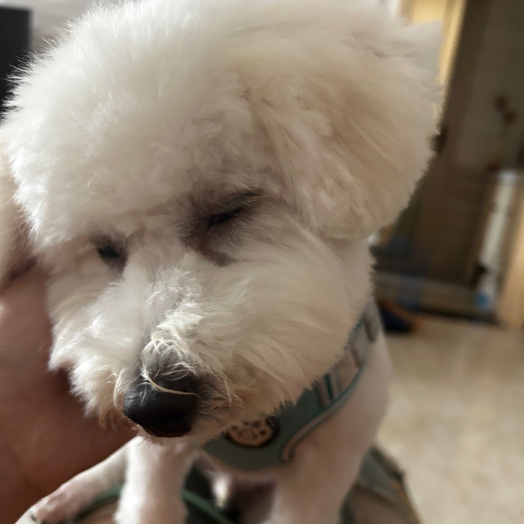 笑春风
