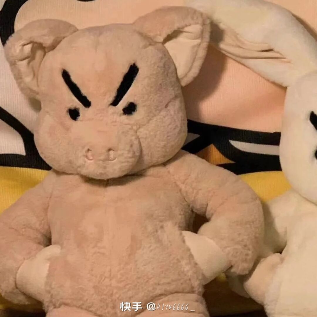 qq_能能小母熊57