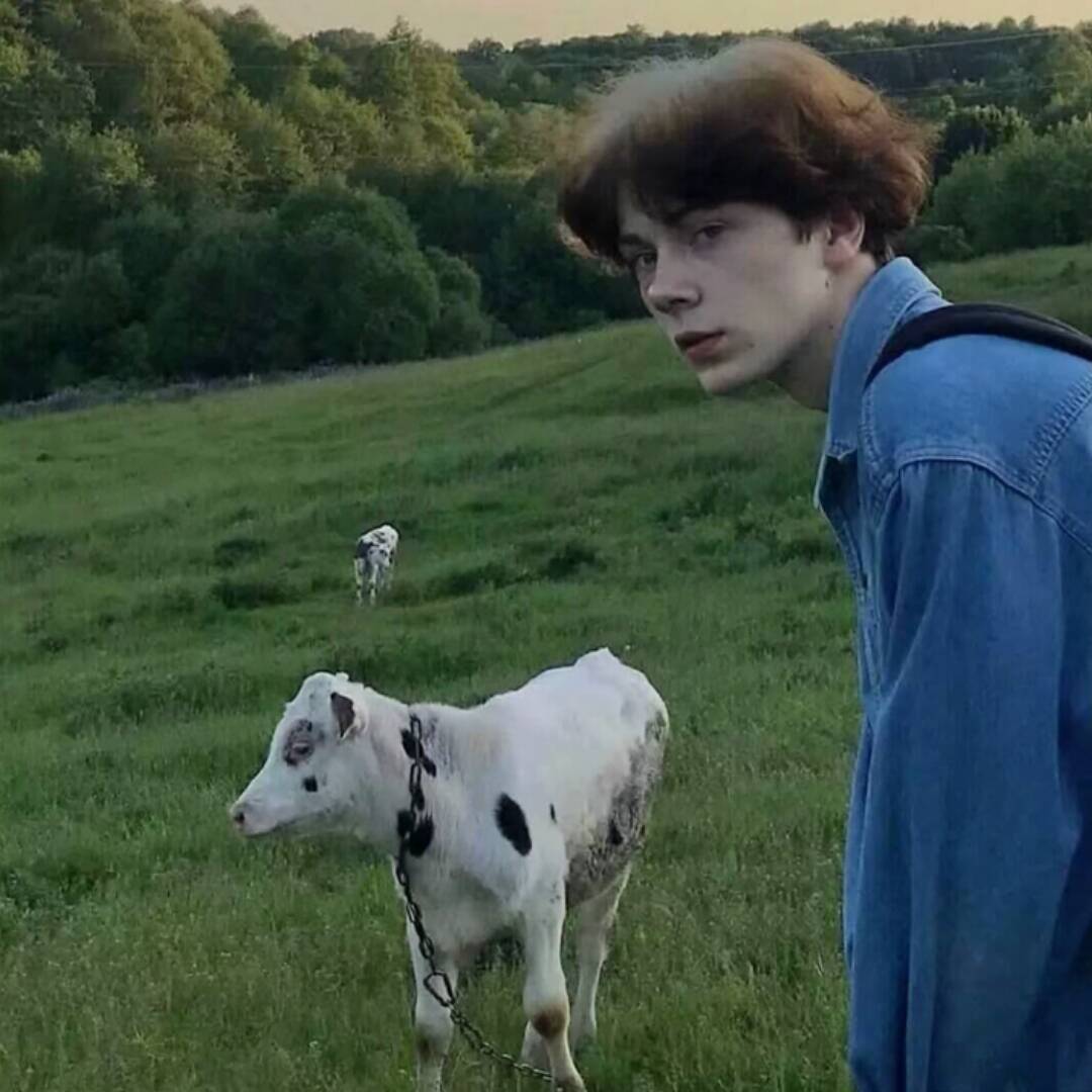 qq_这次遗憾的是你72