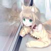 ....................-【TITAIKE】T太科网