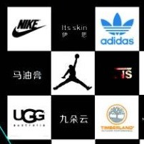 qq_特仑特12
