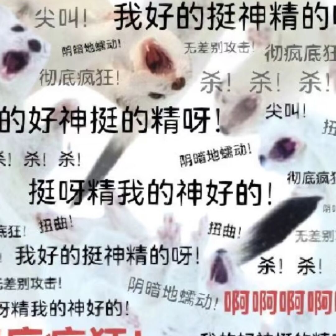 用户头像