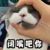 蓝狗的眼睛