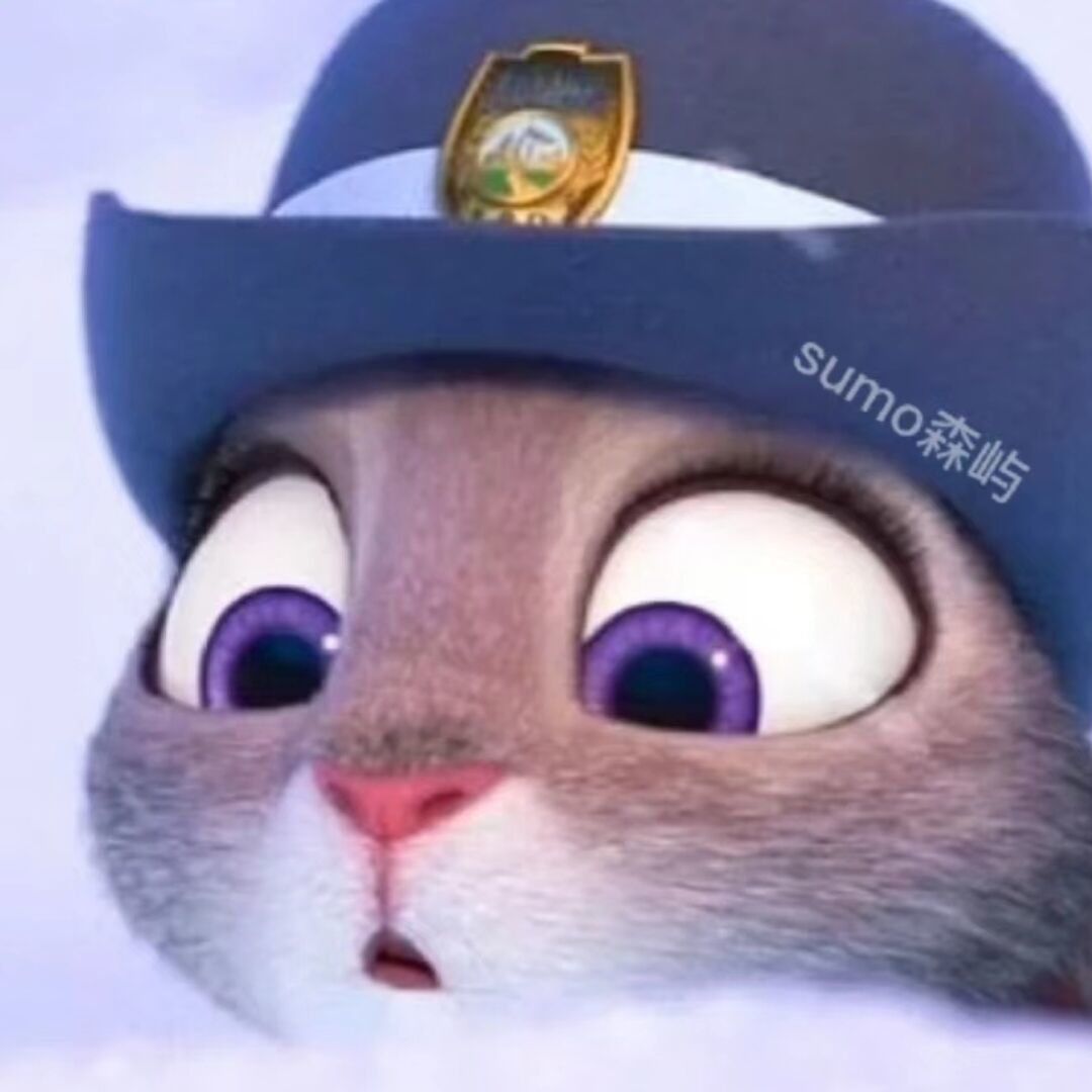 qq_兔子警官29