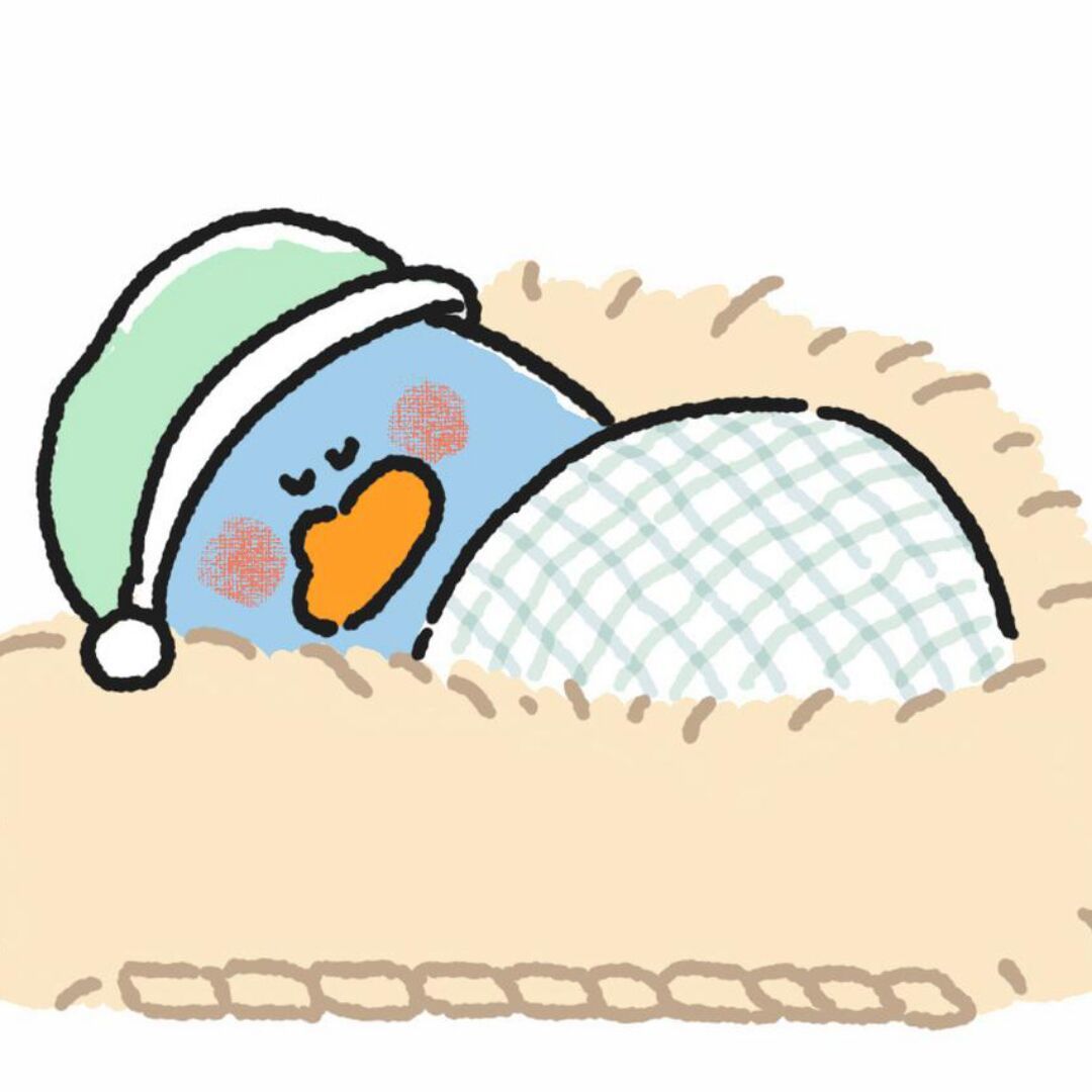 qq_风花雪56
