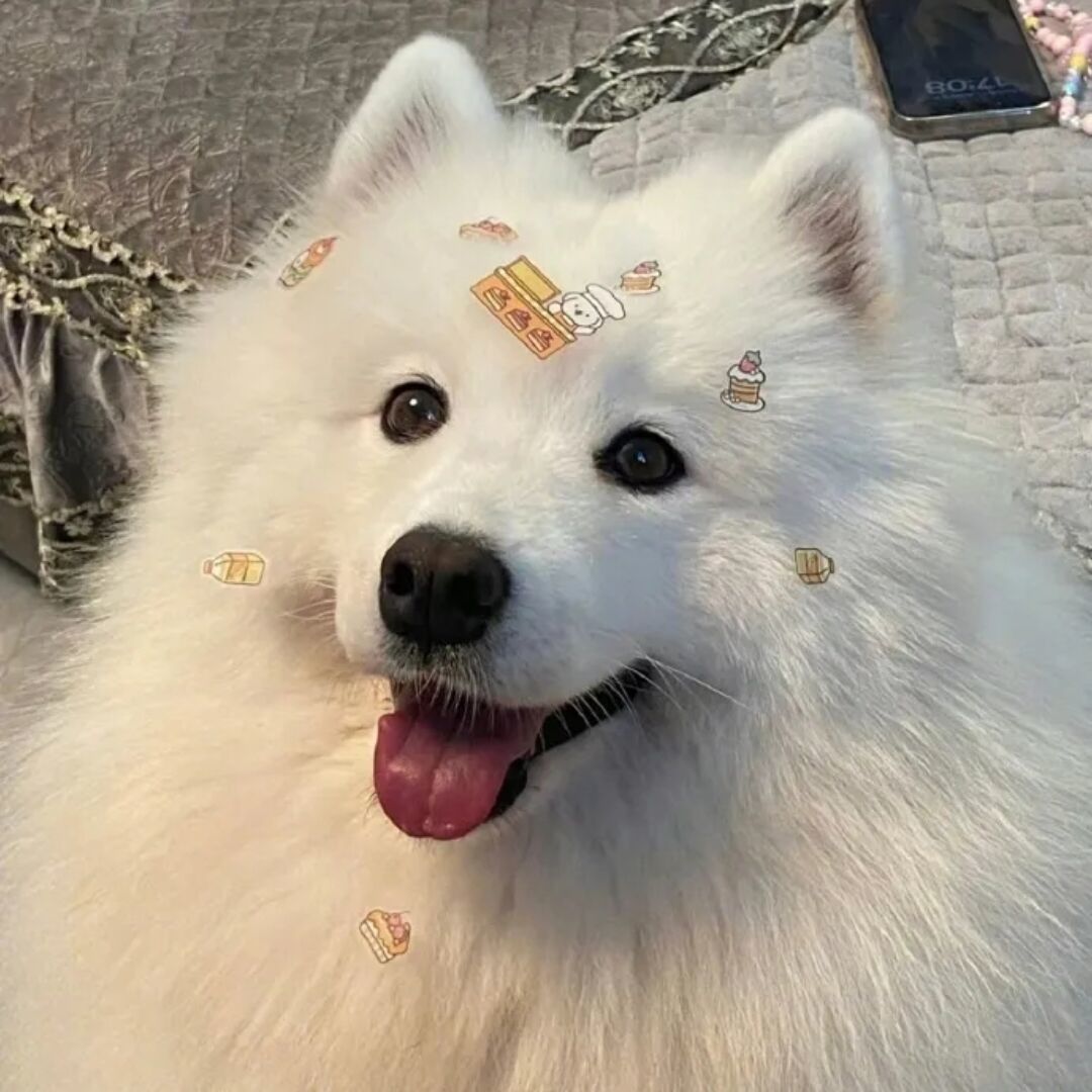 用户头像