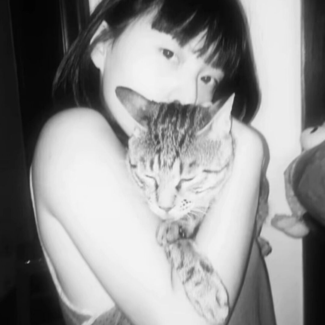 qq_权72