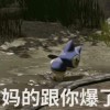 ftrib376-凌貓博客