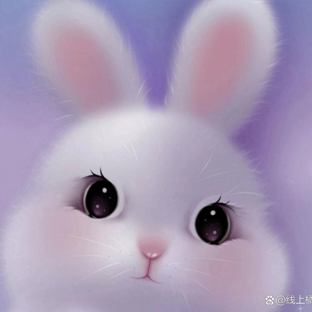 qq_大白宝宝79