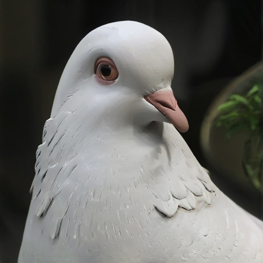 vans自费赞助滑手