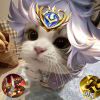 斋冀-【TITAIKE】T太科网