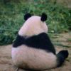 阿豪-【TITAIKE】T太科网