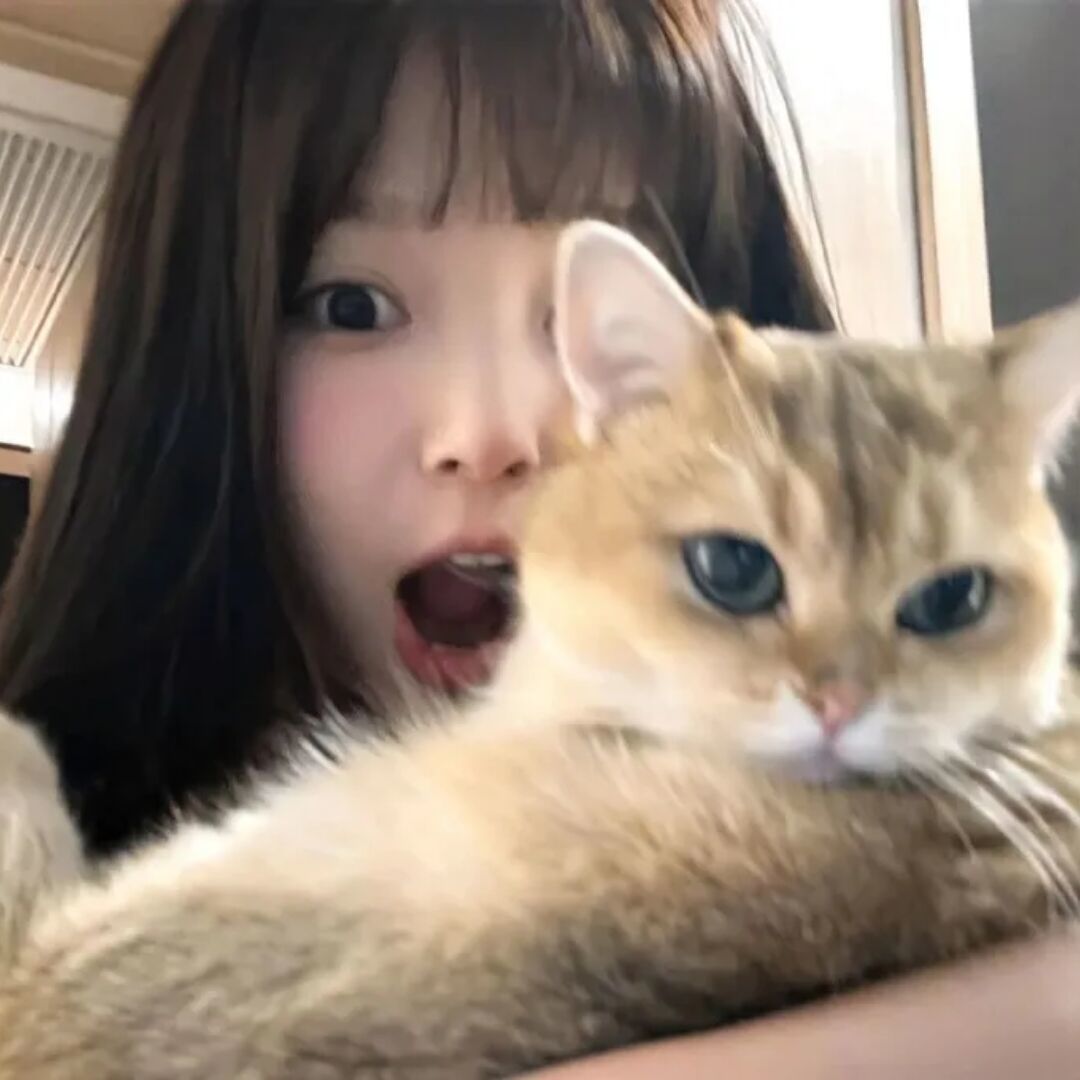 qq_月小娟단어의 일몰90