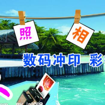 A芳丽摄影