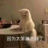 随风落满天-LSPosed中文网