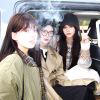 似春日-【TITAIKE】T太科网