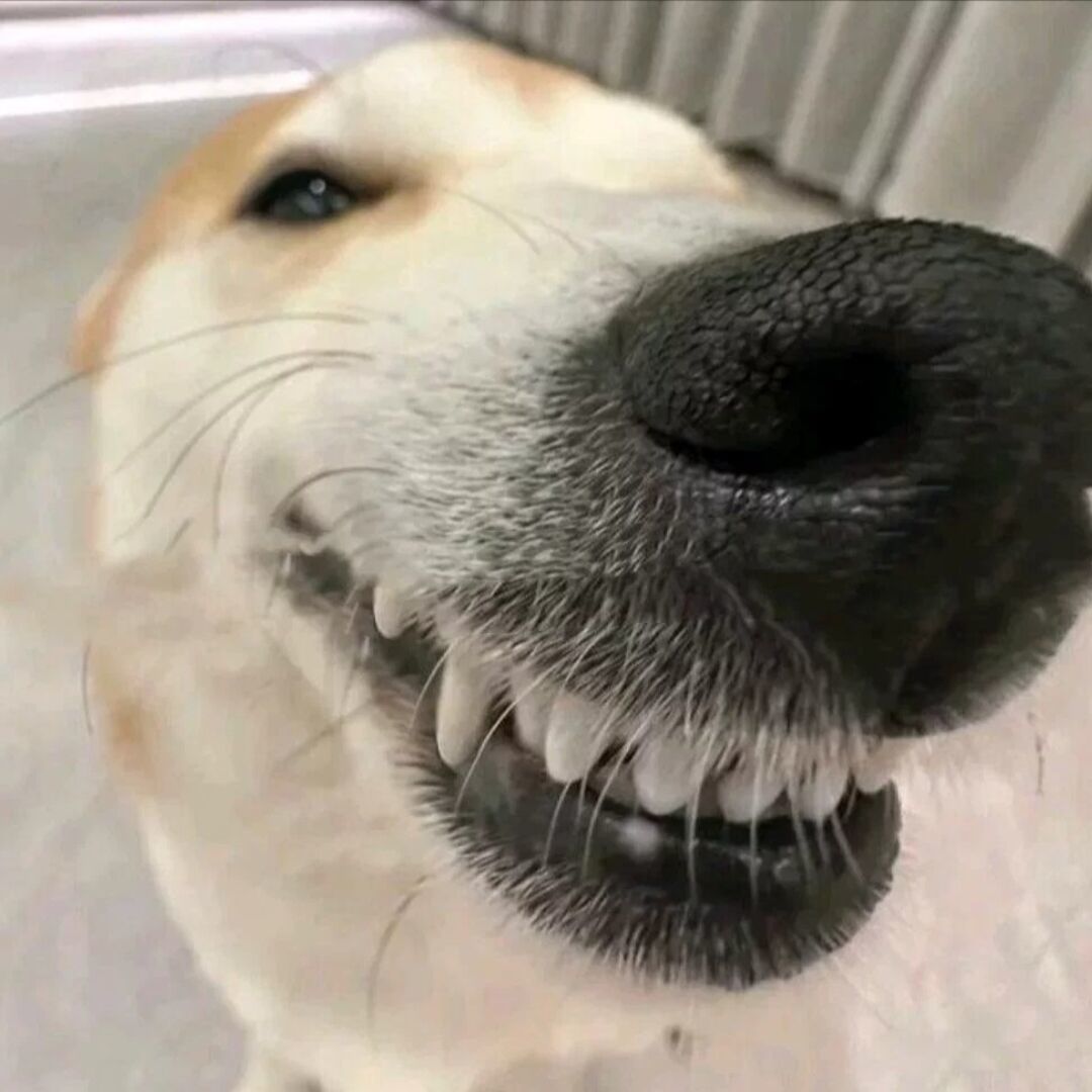 qq_吕龙23