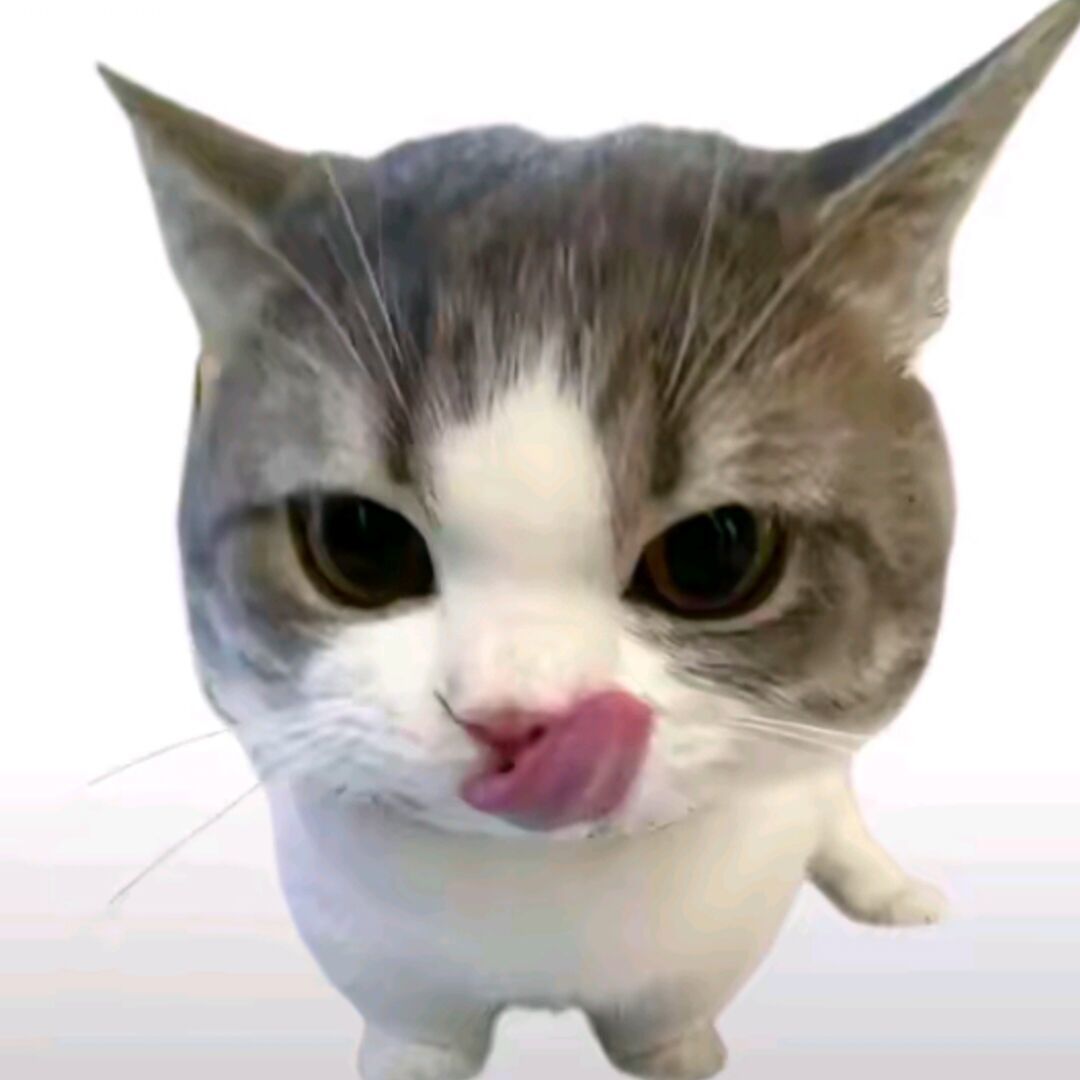 qq_蜡毛小孩47