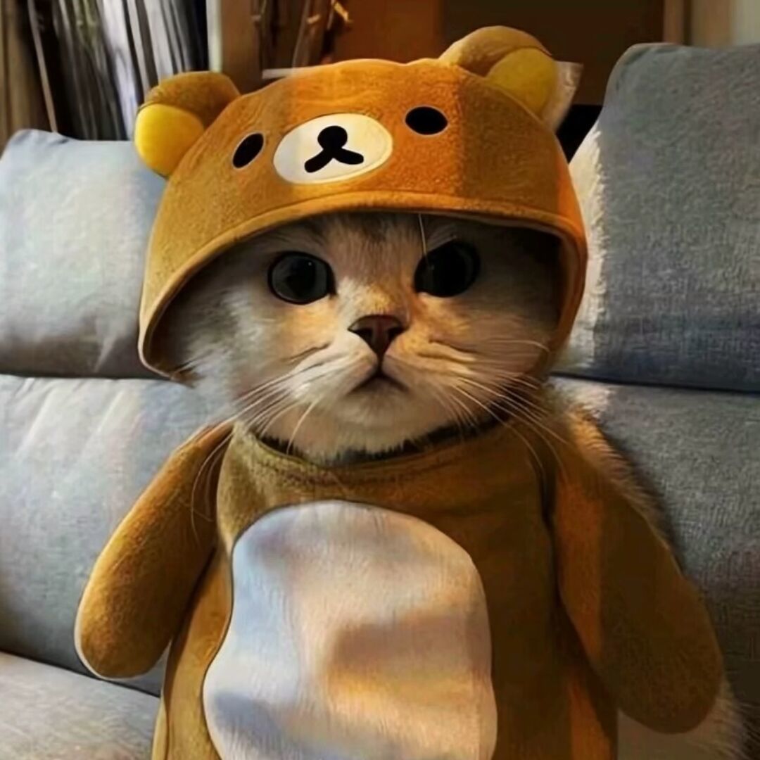 qq_一切结束了吗78
