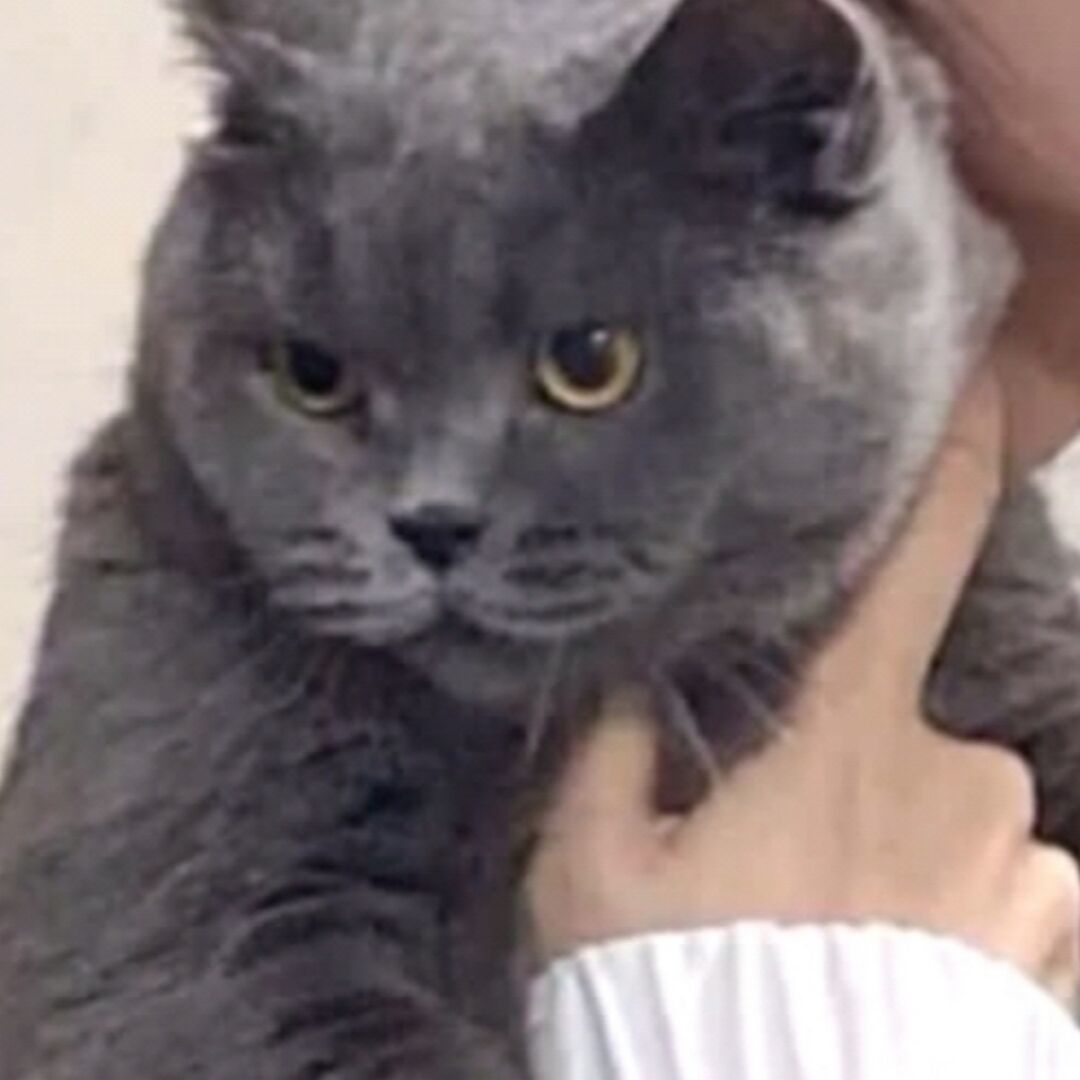 qq_、38