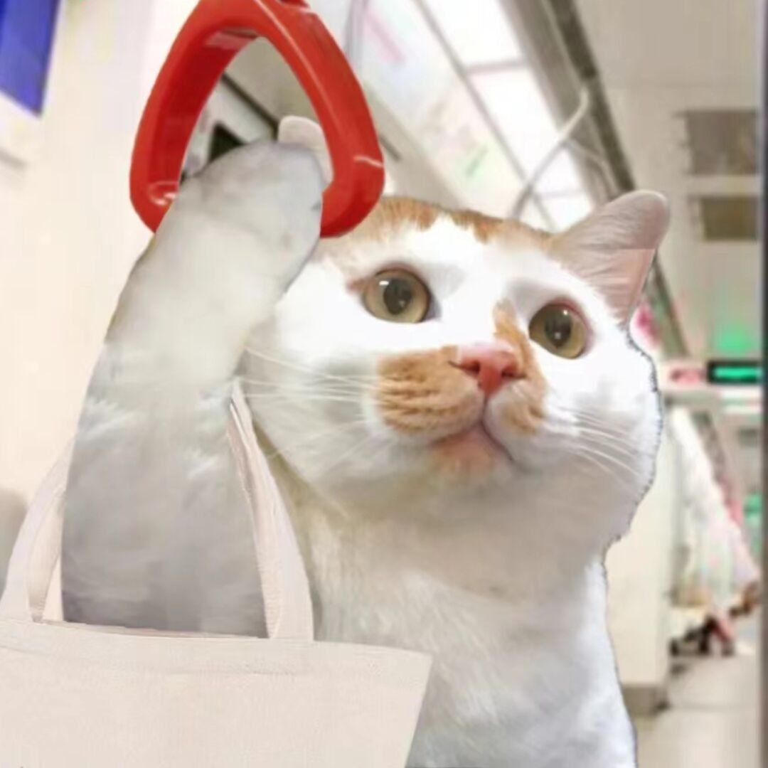 qq_渝鱼余25