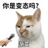 LESHI-【TITAIKE】T太科网