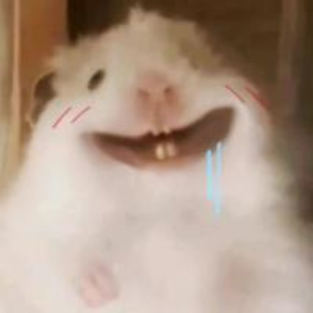 qq_SQ96