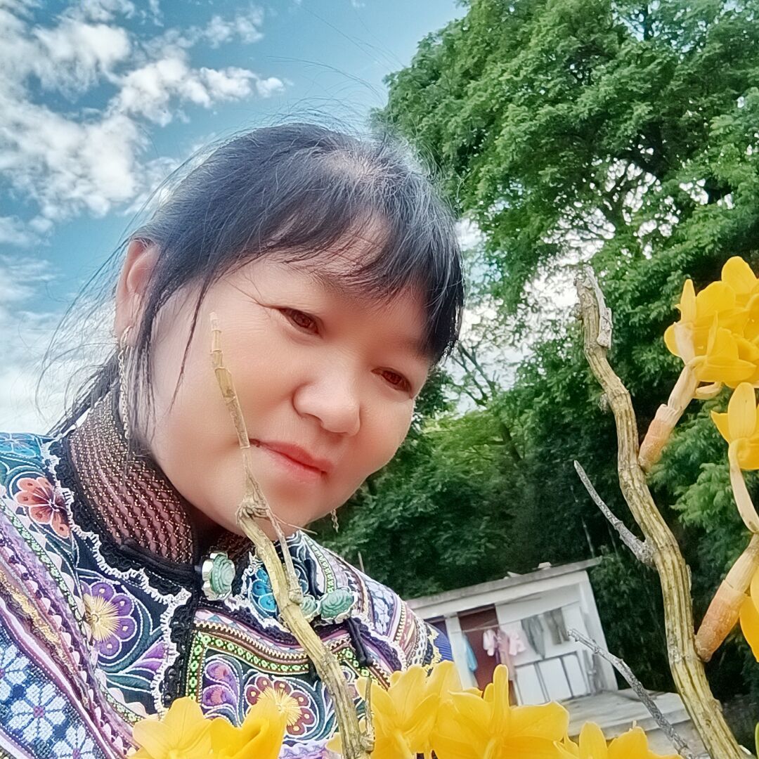 qq_梯田24