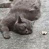 acloud-【TITAIKE】T太科网