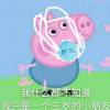 zhyyds-【TITAIKE】T太科网