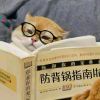 HEYUEPENG-【TITAIKE】T太科网