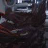 Spiderman-【TITAIKE】T太科网
