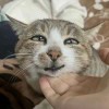 wuke123-【TITAIKE】T太科网