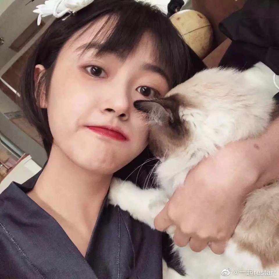qq_花落。41