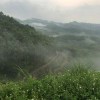 XDYYDS-【TITAIKE】T太科网